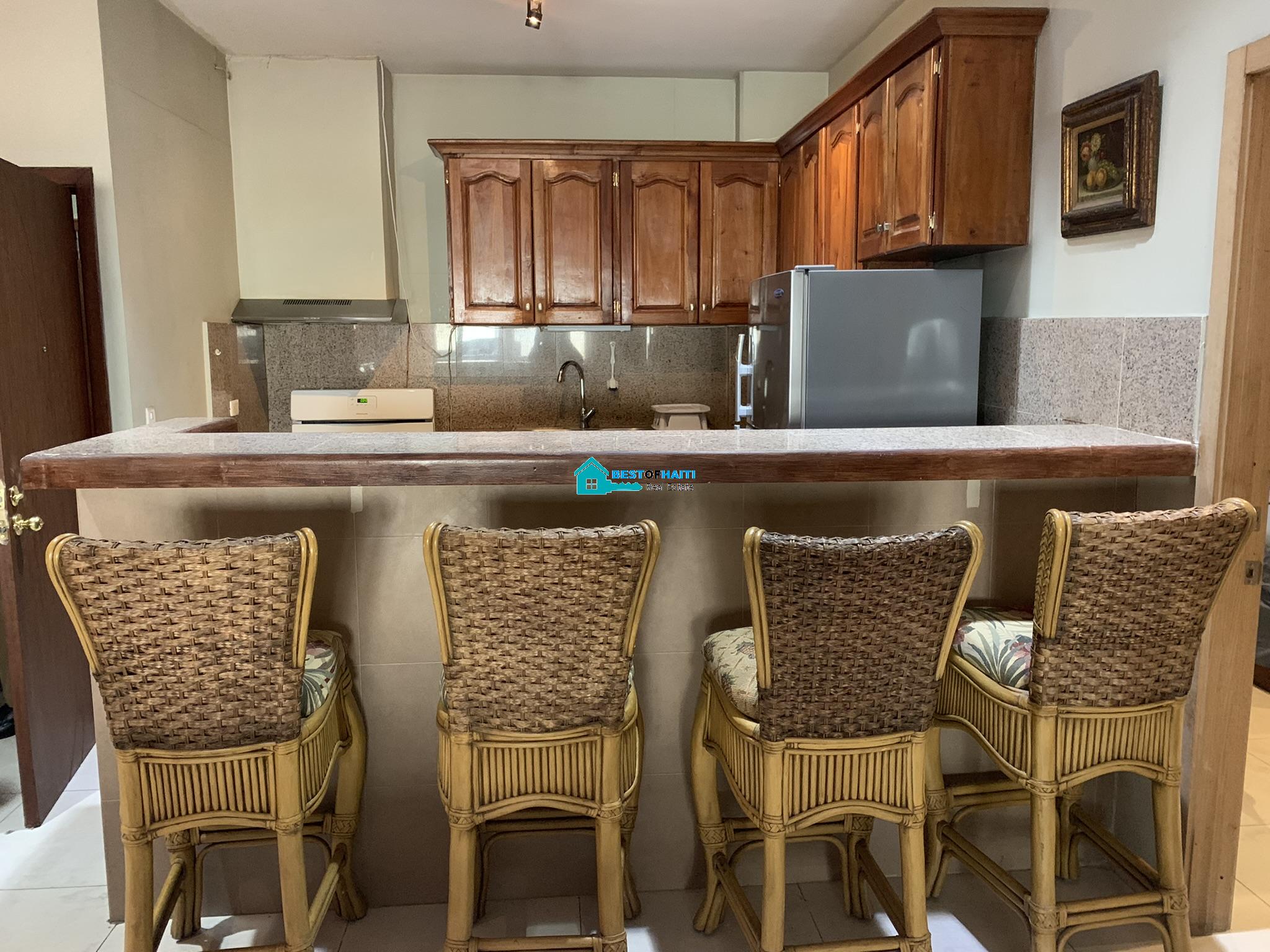 Furnished 2 Beds, 2 Baths Penthouse Apartment for Rent Petion-Ville, Haiti