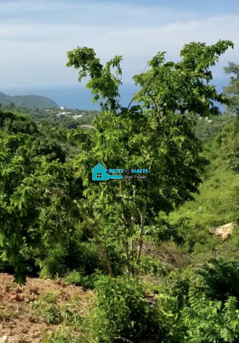 Land for Sale in Magayorse Cap-Haitian, Haiti - Beachfront OR Oceanview
